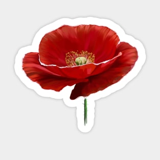 Mohn Sticker